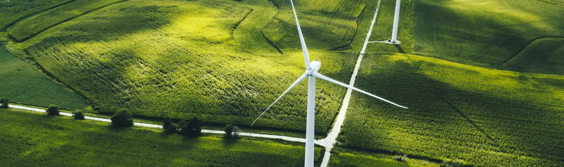 Why IDNet became the UK’s first telecoms B Corp — and what it means for you